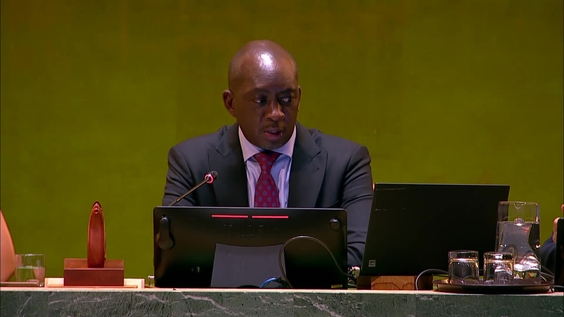 General Assembly: 112th Plenary meeting, 80th session