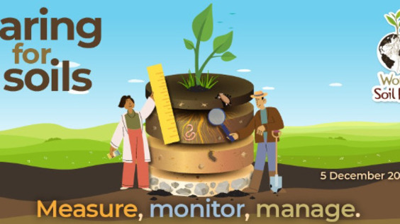World Soil Day