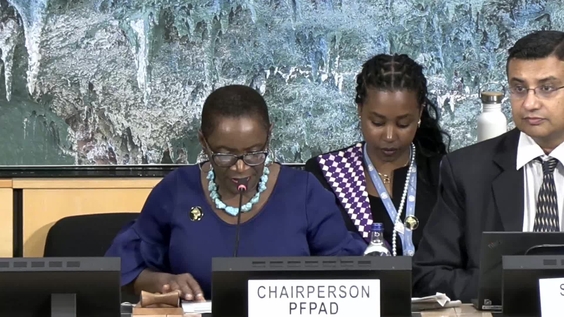 2nd Meeting, 5th session of the Permanent Forum on People of African Descent