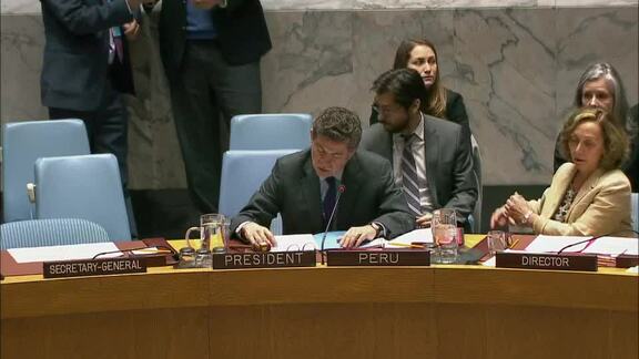 8226th Security Council Meeting: Question Concerning Haiti