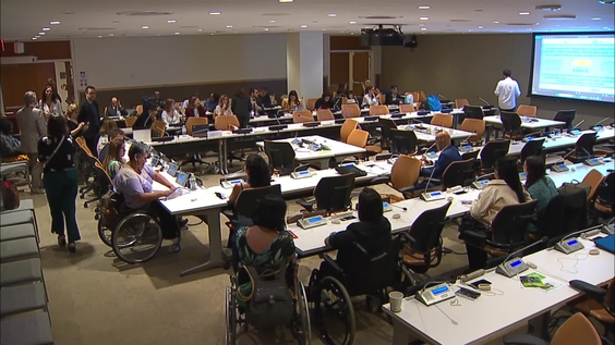 Recognising and addressing the rights of indigenous women and girls with disabilities and their role in advancing disability inclusion (CRPD-COSP18 Side Event)