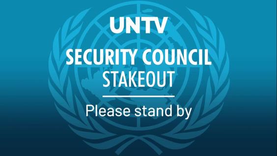 Security Council Media Stakeout