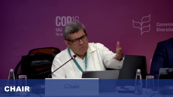 Working Group 2 (10th meeting) at COP16 – United Nations Biodiversity Conference 2024