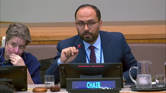 (1st meeting) Intergovernmental Negotiating Committee on the United Nations Framework Convention on International Tax Cooperation - Fourth Session