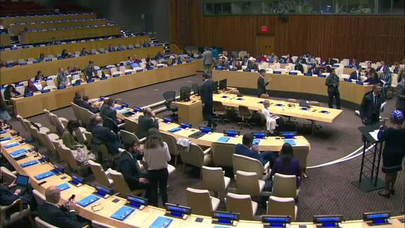 High-Level Briefing on Food Security and Nutrition
