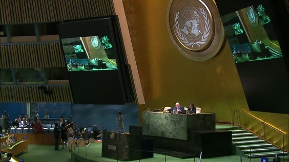 General Assembly, 91st plenary meeting, 71st session