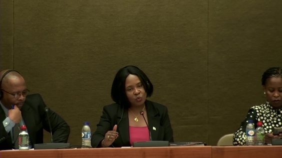 2167th Meeting, 91st Session, Committee on the Elimination of Discrimination against Women (CEDAW)