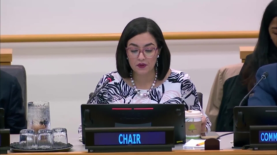 Fifth Committee, 10th meeting - General Assembly, 79th session