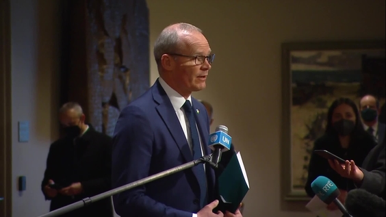 Simon Coveney (Ireland) on Ukraine - Security Council Media Stakeout
