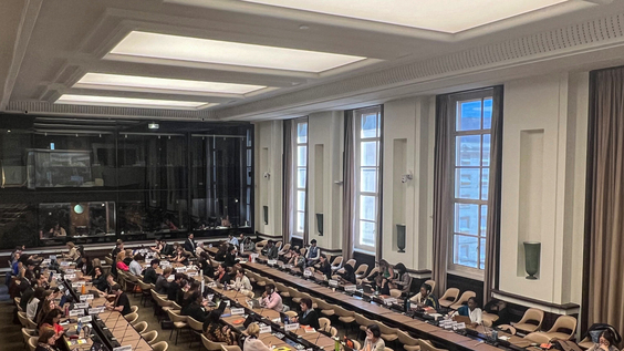 3237th Meeting, 118th Session, Committee on the Elimination of Racial Discrimination (CERD)