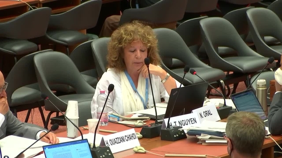 3599th Meeting, 73rd session of the International Law Commission