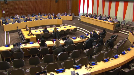 (Continued) Special meeting on international cooperation in tax matters - Economic and Social Council, 12th plenary meeting, 2026 session