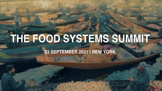 Secretary-General's Food Systems Summit