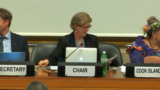 Consideration of The Cook Islands (Cont'd) - 1619th Meeting 70th Session Committee on the Elimination of Discrimination Against Women