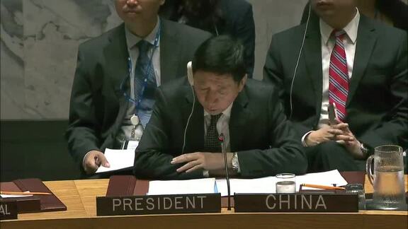 8001st Security Council Meeting: Situation in Central African Republic