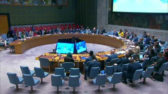 The situation in Afghanistan - Security Council, 10223rd meeting