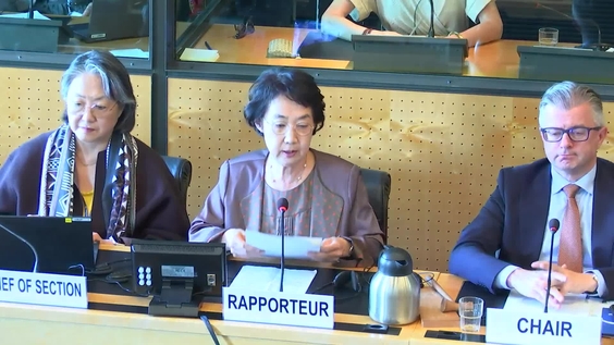 3165th Meeting, 115th Session, Committee on the Elimination of Racial Discrimination (CERD)