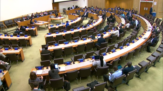Intergovernmental Negotiating Committee on the United Nations Framework Convention on International Tax Cooperation - Second Substantive Session 2025, 2nd meeting