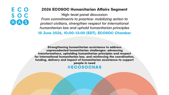 - Economic and Social Council, 30th Plenary Meeting