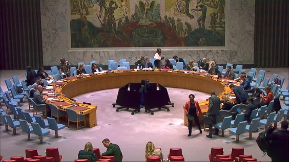 (Resumed) Women and peace and security in the next quarter-century ...