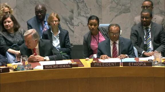 8060th Security Council Meeting:  The situation in Myanmar