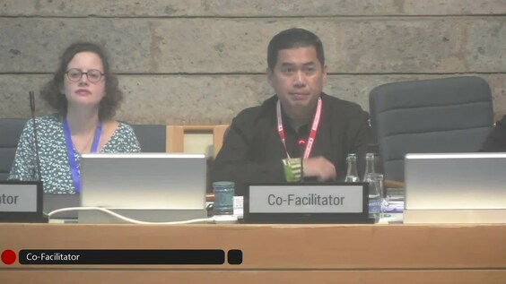 Preparatory Meeting for INC-3 (part 2)