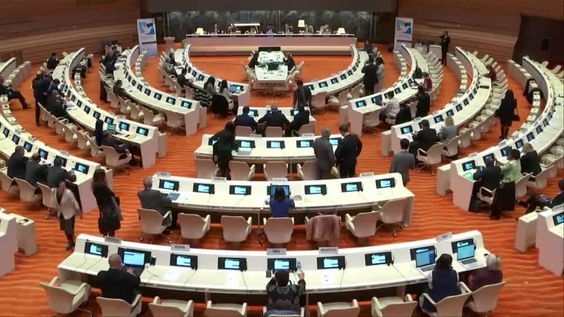 Panel Discussion on Parliaments working with others - 2nd Session Forum on Human Rights, Democracy and Rule of Law