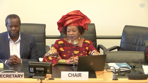3019th Meeting, 110th Session, Committee on the Elimination of Racial Discrimination (CERD)