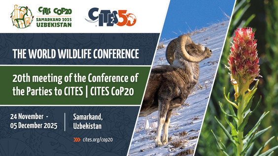 CITES: Press conference - 20th World Wildlife Conference