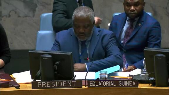 8466th Security Council Meeting: Situation in Middle East; Palestinian Question