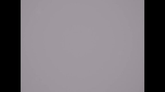 311th, 312th, Plenary Meeting of General Assembly: 5th Session