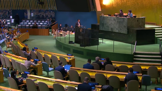 General Assembly: 74th plenary meeting, 80th session