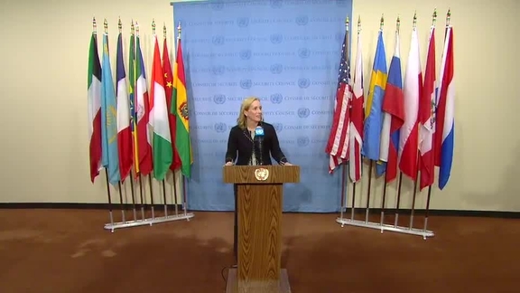 US Representative to ECOSOC Briefs Press