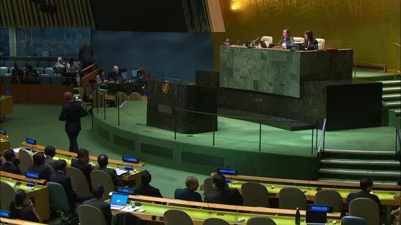 22nd Plenary Meeting of General Assembly 73rd Session