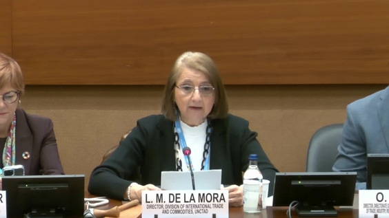 UNCTAD: Ad Hoc Expert Meeting on Trade, Investment, Climate and Sustainable Development
