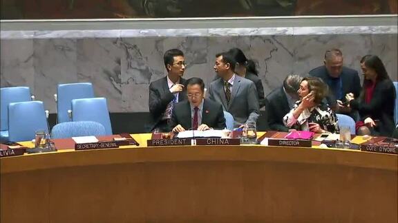 8393rd Security Council Meeting: United Nations Peacekeeping Operations