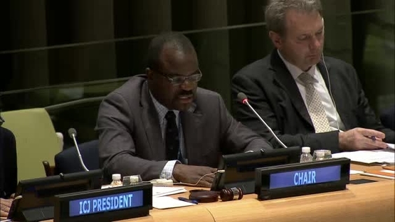 Ronny Abraham (President of the ICJ) - Sixth Committee, 21st meeting - 70th General Assembly