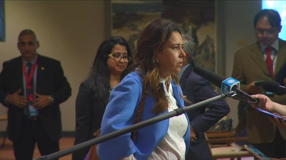 Lana Nusseibeh (UAE) on the situation in the Middle East and Other matters - Security Council Media Stakeout