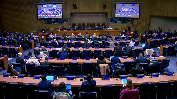 (4th meeting) 58th session of the Commission on Population and Development, CPD58