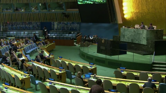 Asamblea General, 60ª Sesión Plenaria, 72° Periodo de Sesiones