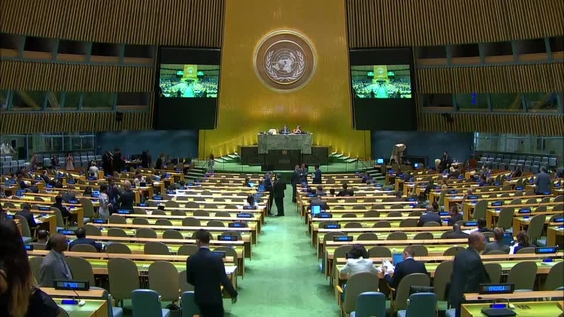 General Assembly: 116th Plenary Meeting, 72nd Session