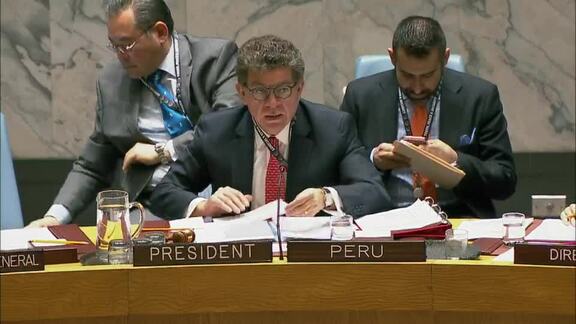 8241st Security Council Meeting: Maintenance of International Peace and Security Part 2