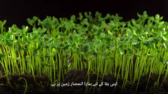 SGM ON DROUGHT DESERTIFICATION DAY Urdu