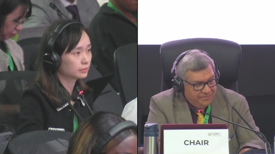 Working Group II (5th meeting)