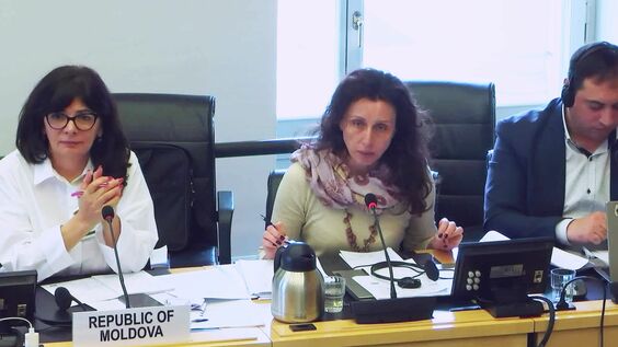 3066th Meeting, 112th Session, Committee on the Elimination of Racial Discrimination (CERD)