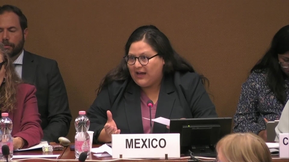 2151st Meeting, 91st Session, Committee on the Elimination of Discrimination against Women (CEDAW)