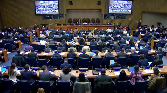 Primera Comisión, 29ª sesión plenaria, Asamblea General, 79° período de sesiones