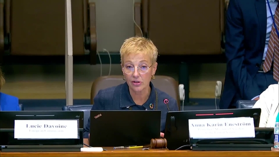 Accessible crisis preparedness and crisis communication (COSP 17 Side Event)