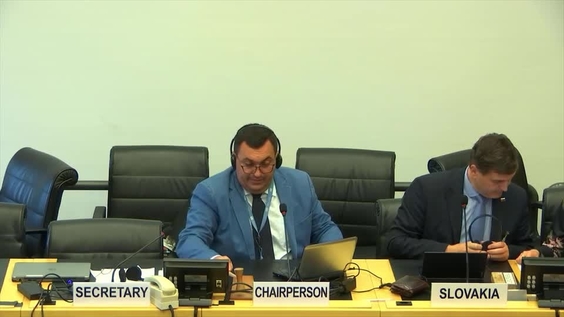 Consideration of Slovakia (Cont'd) - 47th Meeting, 66th Session Committee on Economic, Social and Cultural Rights