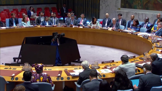 Natural resources governance: the foundation of peace, security and prosperity - Security Council, Open Debate